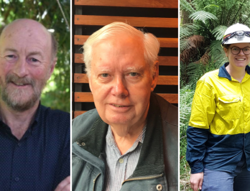 MEDIA RELEASE: Forestry Australia Conference Wrap, Jolly Medal & Prince of Wales Award