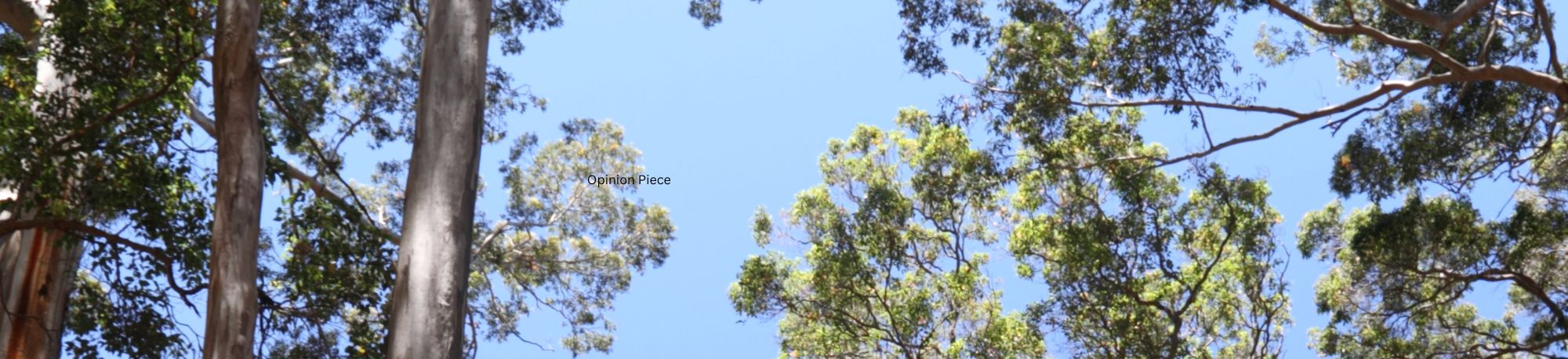 _WEBSITE BANNER _Op Ed