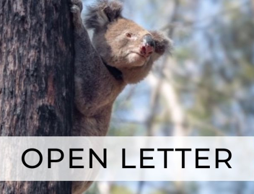 OPEN LETTER: Great Koala National Park NSW