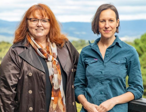 MEDIA RELEASE: New Leadership Team at Forestry Australia