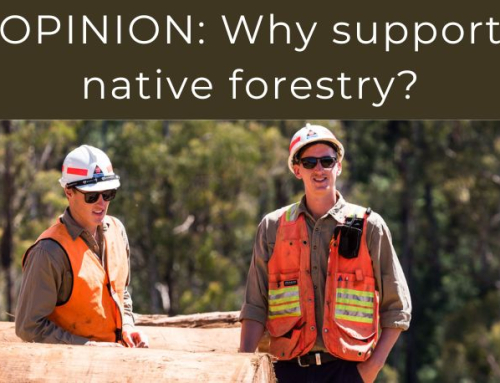 OPINION PIECE: Why support native forestry?
