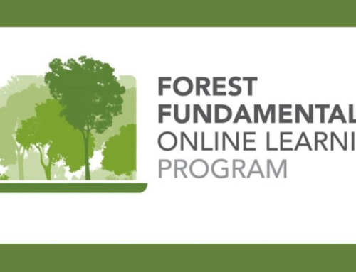 MEDIA RELEASE: Forestry Australia produces online learning for members