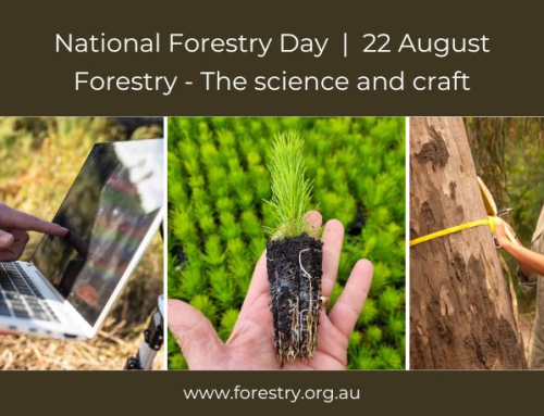MEDIA RELEASE: Forestry – The science and craft