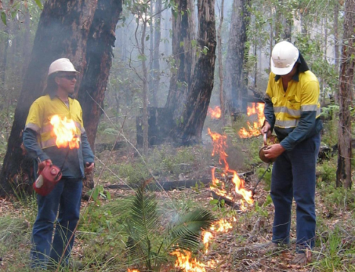 2024 Fire Summit | Prescribed fire: Exploring science, culture and practice
