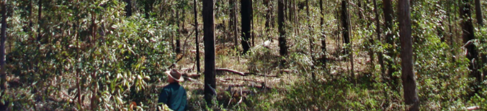 Media release_Qld govt_Website header