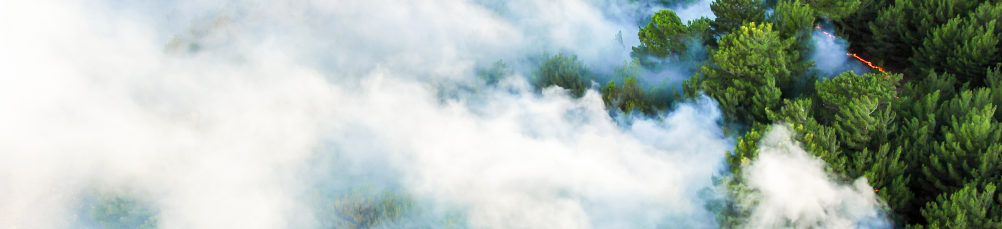 WEBINAR_Banner_Fire detection_Nov 2024
