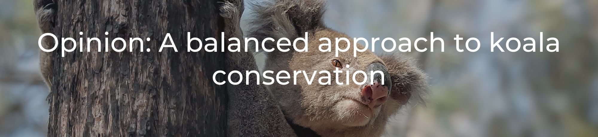 Website banner – Opinion GKNP (2000 x 458 px)