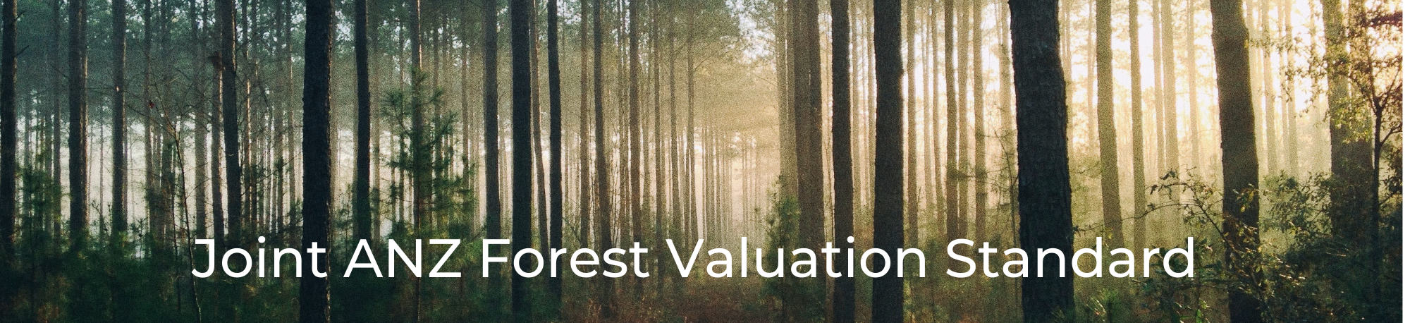 Valuation Standard Website Banner Website (2)