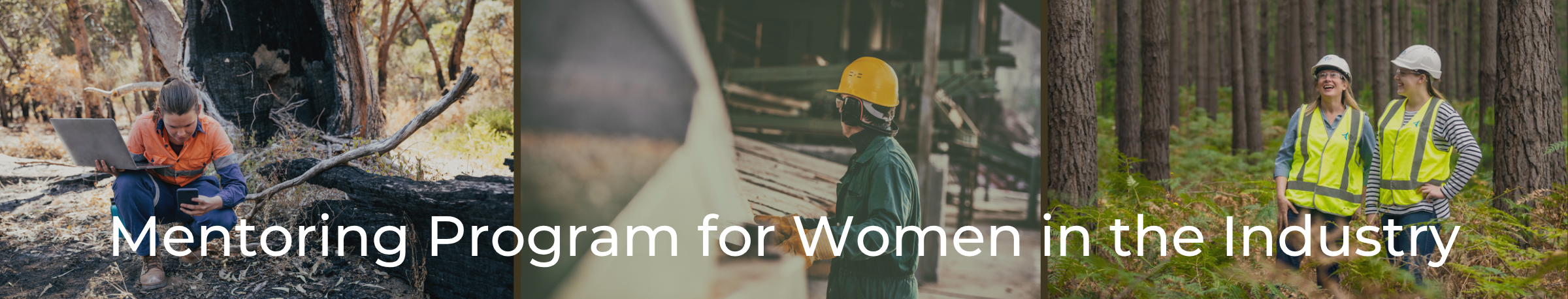 Women Mentoring website Banner (2400 x 458 px)