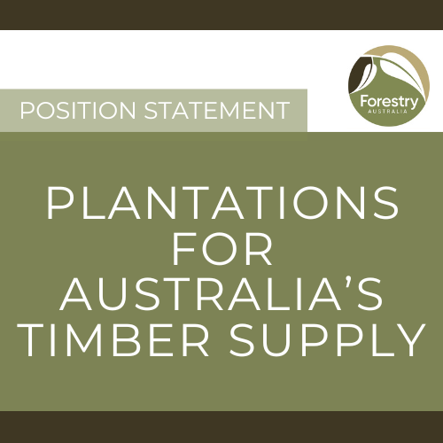 Position Statement Plantations