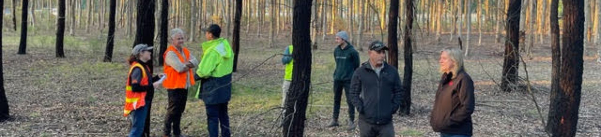 WEBSITE BANNER _ VIC Field trip OPP