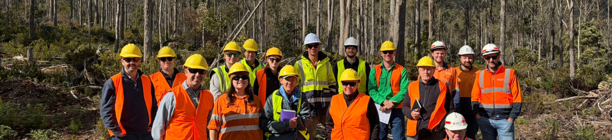 WEBSITE BANNER _ 100 Years of Forestry Education