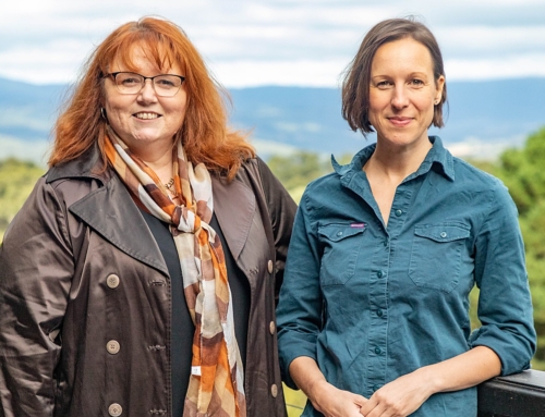 MEDIA RELEASE: New Native Forest Carbon Method Falls Short and Creates Risks