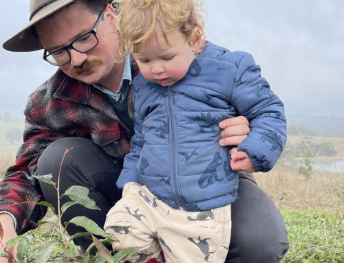 Forest Scientists Share Top Tips for National Tree Day