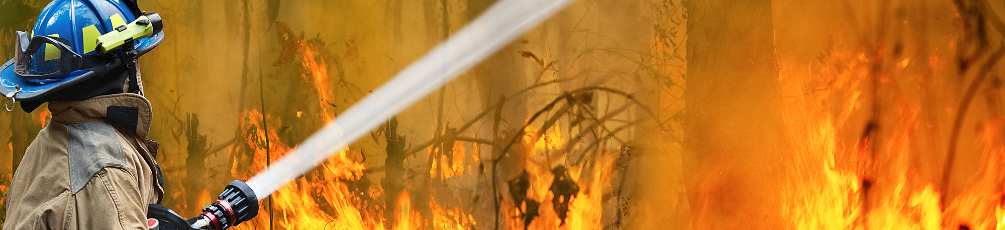 Bushfire-Firefighter-Hose-Forest-Fire-Photo-Credit-Dreamstime-2000×458 Firefighter in blue helmet directing a hose onto flames burning through native forest understorey during a bushfire